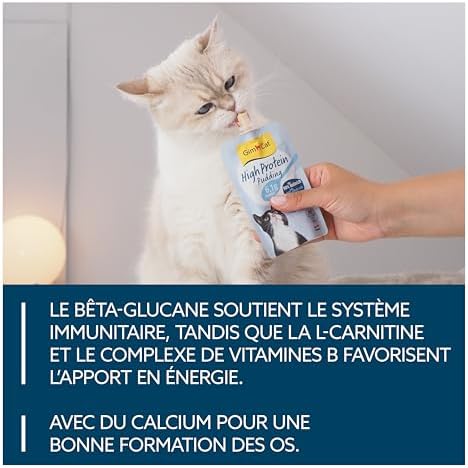 Vue 4 de Gimcat Pudding Haute