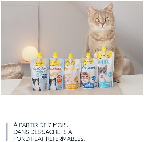 Vue 7 de Gimcat Pudding Haute