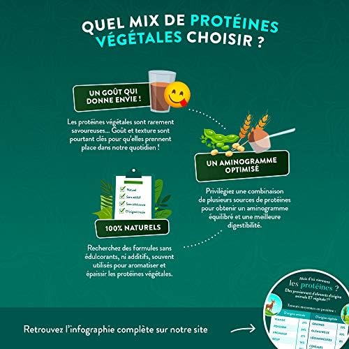 Vue 6 de Nutri Co Proteines Vegetales