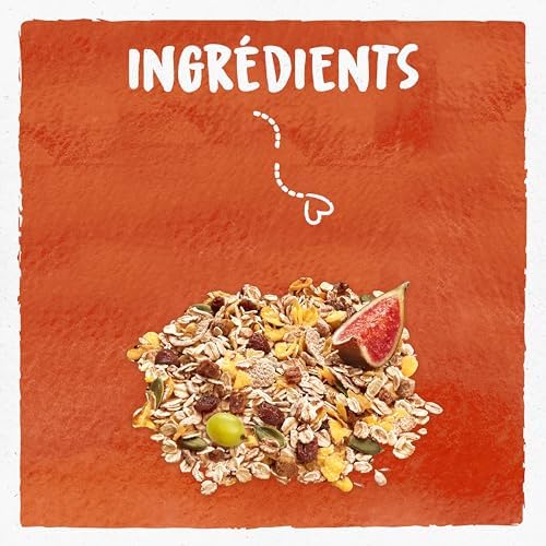 Vue 3 de Bjorg Muesli Bio Sans