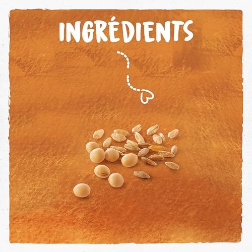 Vue 3 de Bjorg Pain Complet Proteines