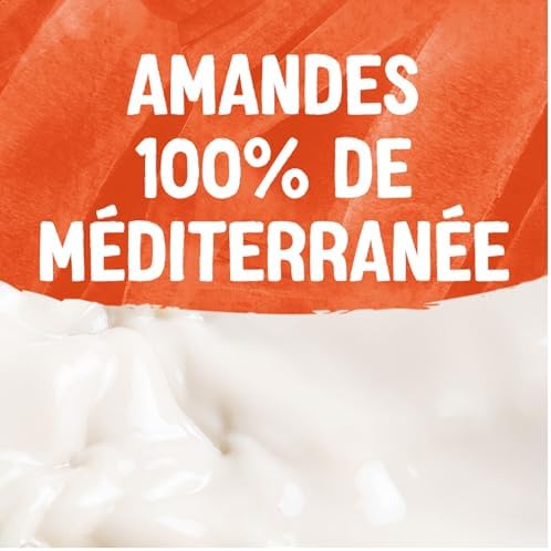 Vue 4 de Alpro Boisson Vegetale Lait