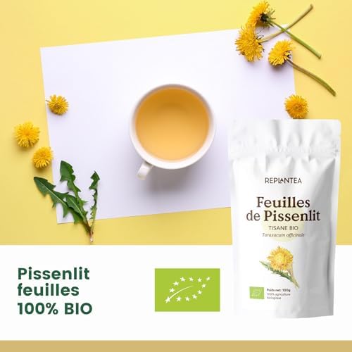 Vue 2 de Tisane De Pissenlit Feuille