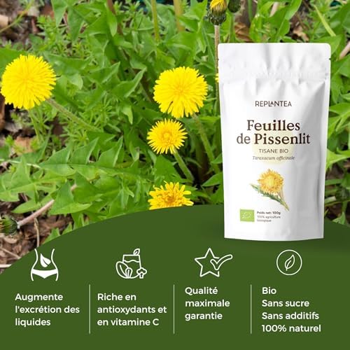 Vue 3 de Tisane De Pissenlit Feuille