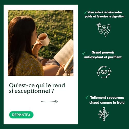 Vue 3 de The Pu Erh Bio