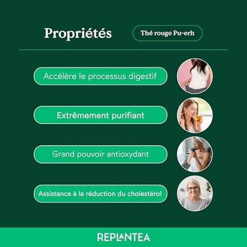 Vue 4 de The Pu Erh Bio