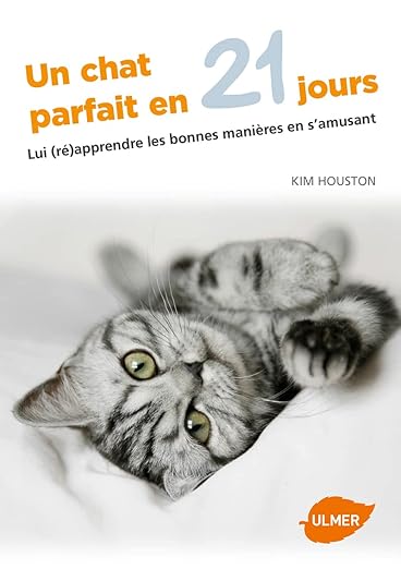 Un Chat Parfait En