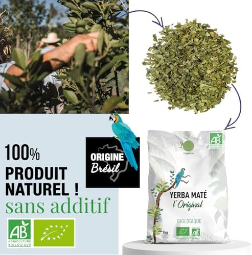 Vue 2 de Origeens Yerba Mate Bio