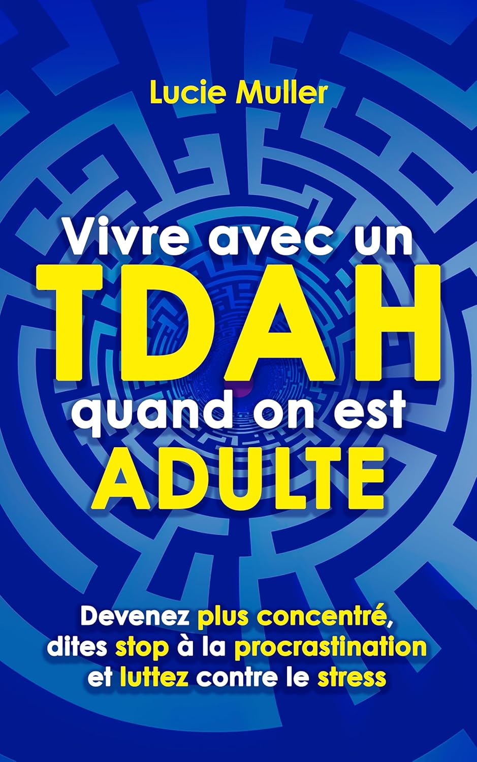 Vue 4 de La Solution Longevite