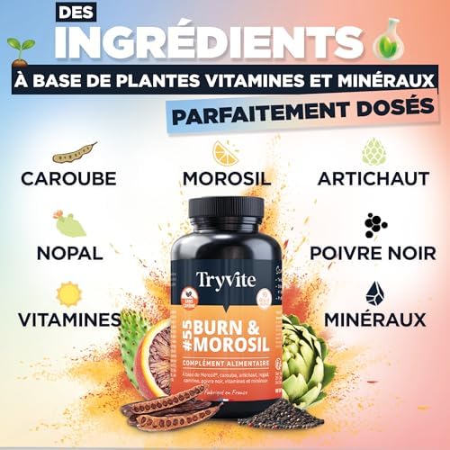 Vue 3 de Tryvite Burnmorosil Bruleur De