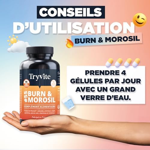 Vue 6 de Tryvite Burnmorosil Bruleur De