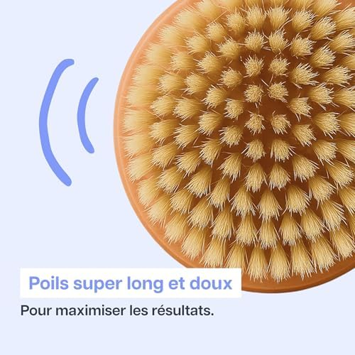 Vue 3 de Brosse De Massage