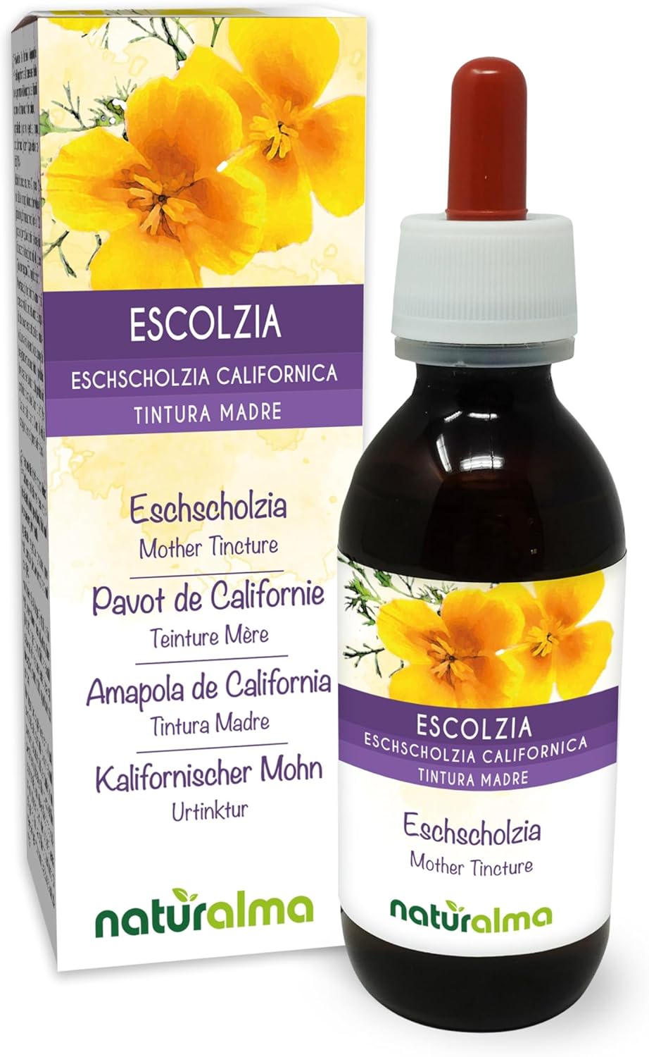 Pavot De Californie Eschscholzia