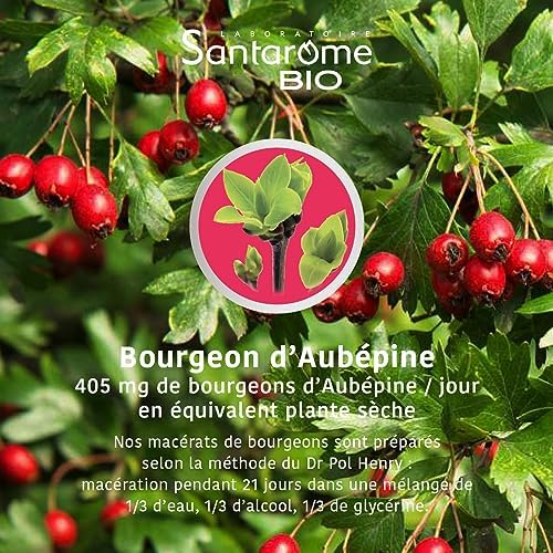 Vue 4 de Santarome Bio Aubepine Bio