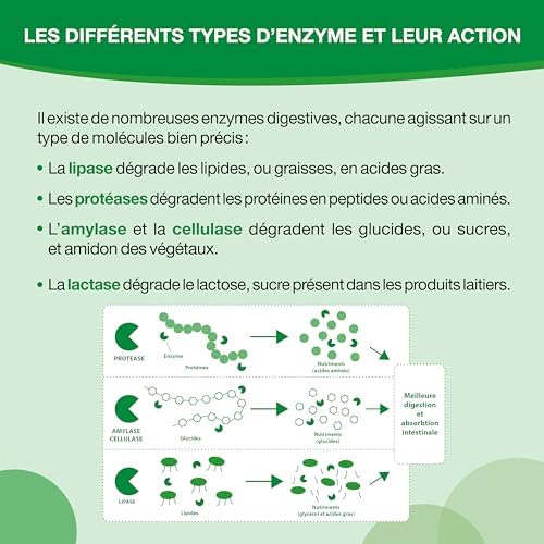 Vue 5 de Nutergia Enzymes Digestives Repas