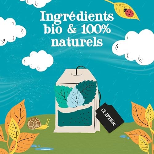 Vue 3 de Clipper Infusion Bio Divine