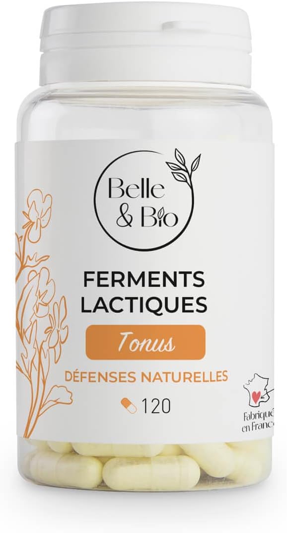 Digestion Flore Intestinal Ferments