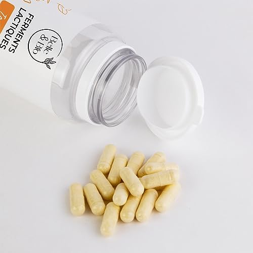 Vue 2 de Digestion Flore Intestinal Ferments