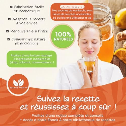 Vue 3 de Natural Probio Original Kombucha