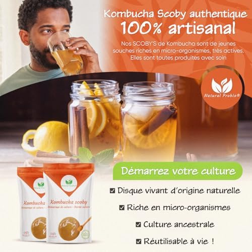 Vue 5 de Natural Probio Original Kombucha