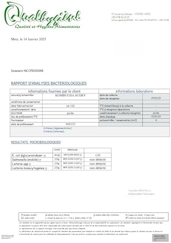 Vue 6 de Natural Probio Original Kombucha