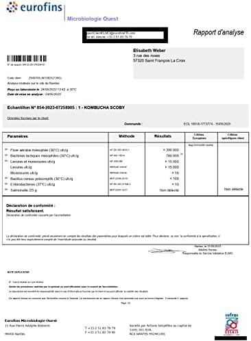 Vue 2 de Kombucha Scoby Kit De