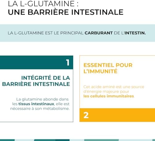 Vue 3 de Lglutamine Cuure Acide Amine