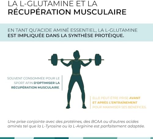 Vue 4 de Lglutamine Cuure Acide Amine