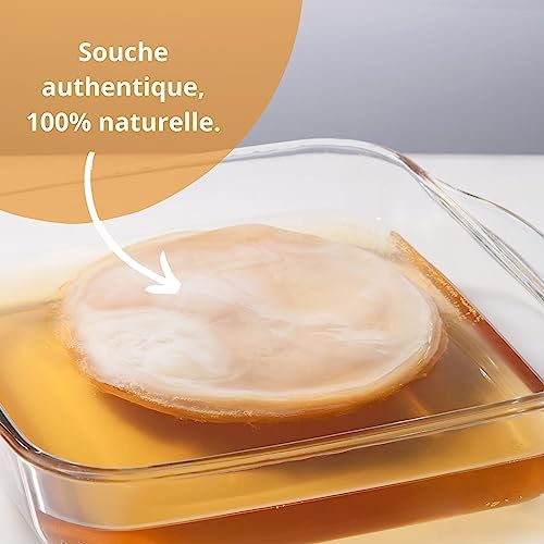 Vue 5 de Kombucha Scoby Kit De