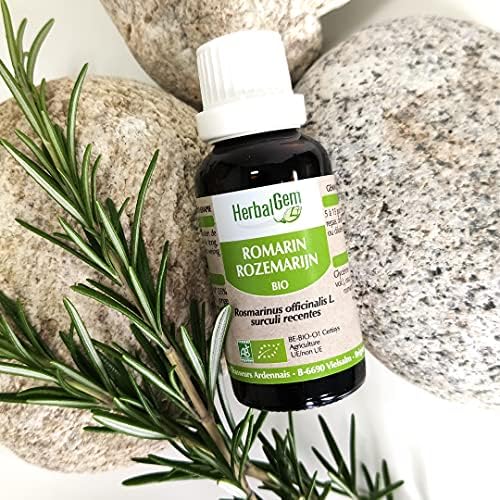 Vue 2 de Herbalgem Maceratmere Romarin Bio
