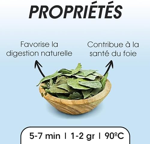 Vue 2 de Infusion De Boldo Gr