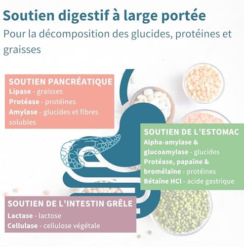 Vue 3 de Enzymes Digestives Betaine Hcl