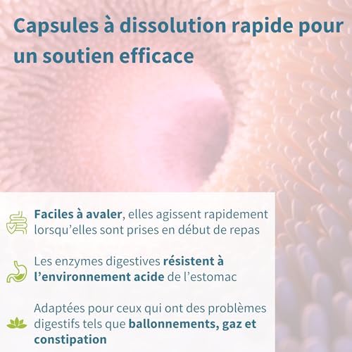 Vue 4 de Enzymes Digestives Betaine Hcl