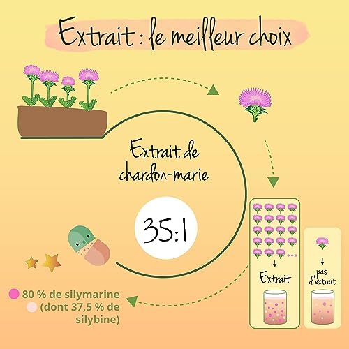 Vue 5 de Chardon Marie Extrait Mgjour