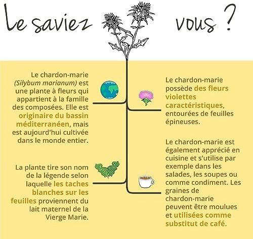 Vue 6 de Chardon Marie Extrait Mgjour