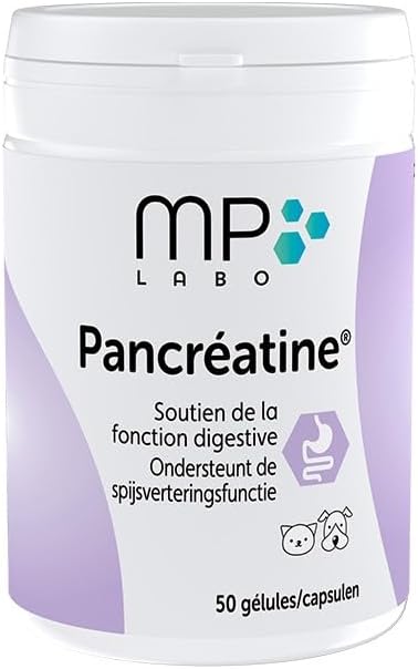 Pancreatine Boite De Gelules