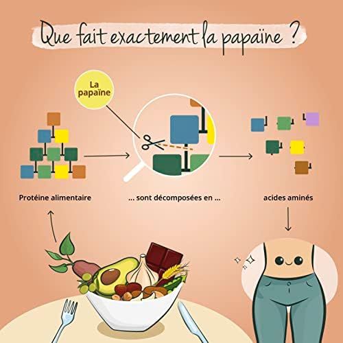 Vue 5 de Enzyme De Papaye Vegavero