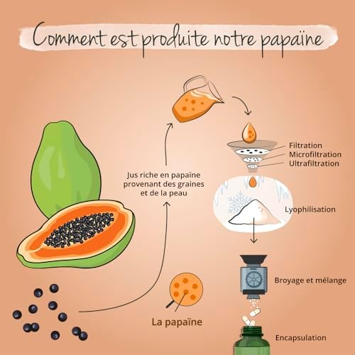 Vue 6 de Enzyme De Papaye Vegavero