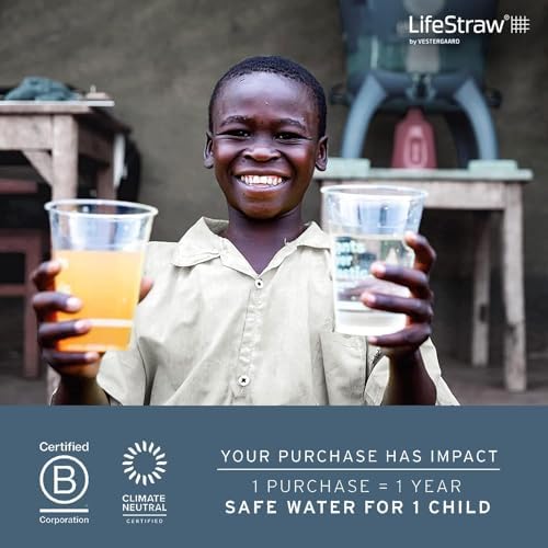 Vue 6 de Lifestraw Peak Series Paille