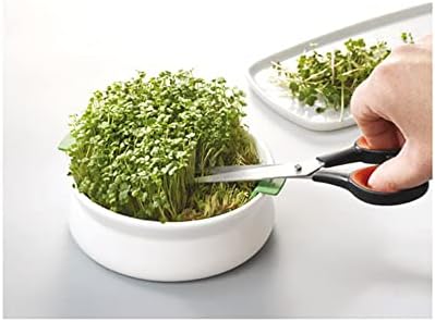 Vue 6 de Germline Germoir