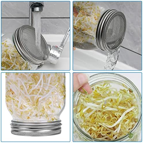 Vue 4 de Hisredsun Bocal De Germination