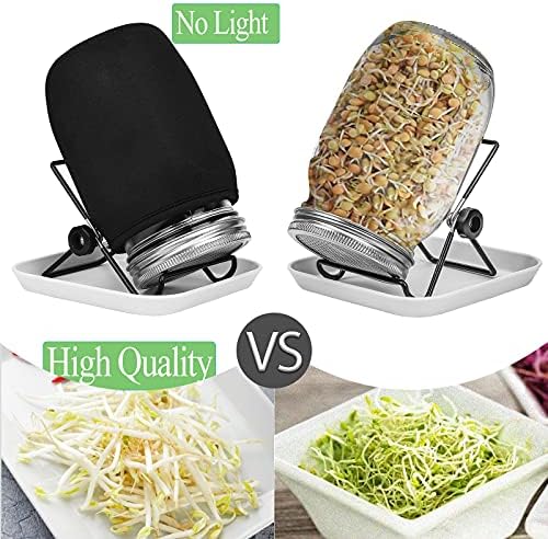 Vue 5 de Hisredsun Bocal De Germination