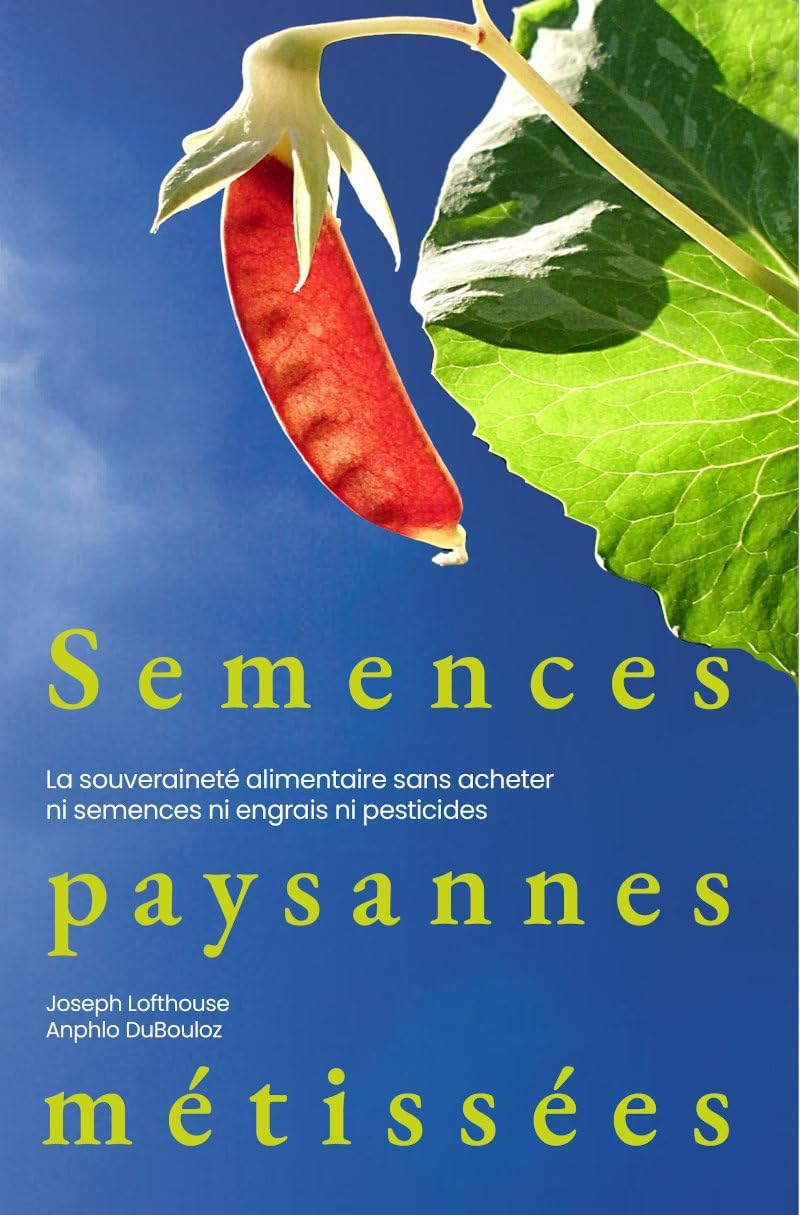 Vue 5 de Graines Germees