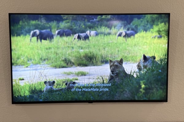 LG 65" 4K Smart TV