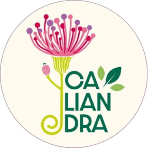 Caliandra