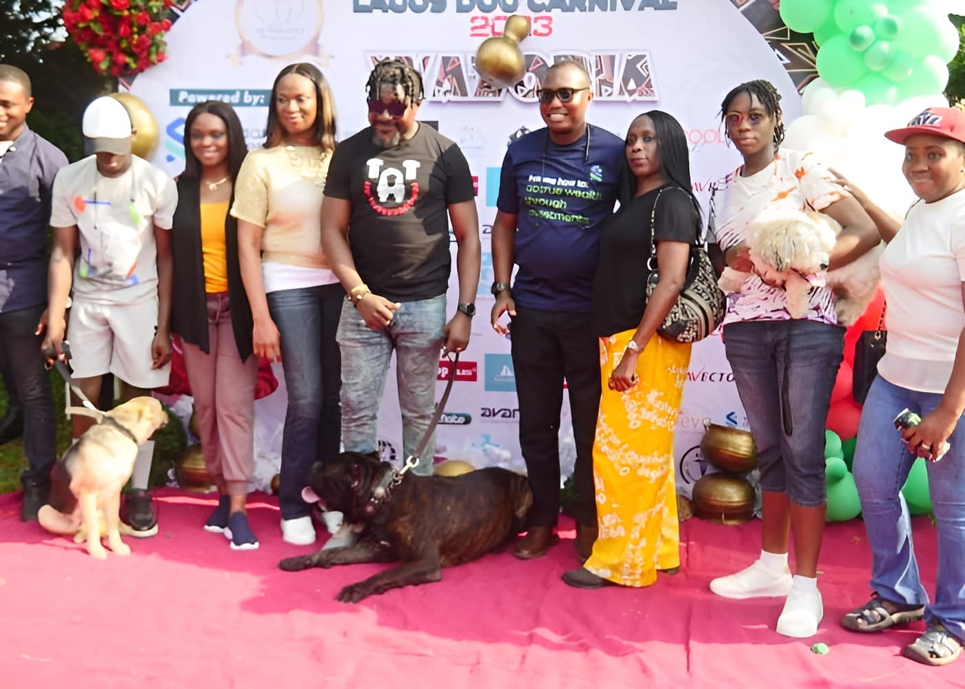 Dog Agility Competition