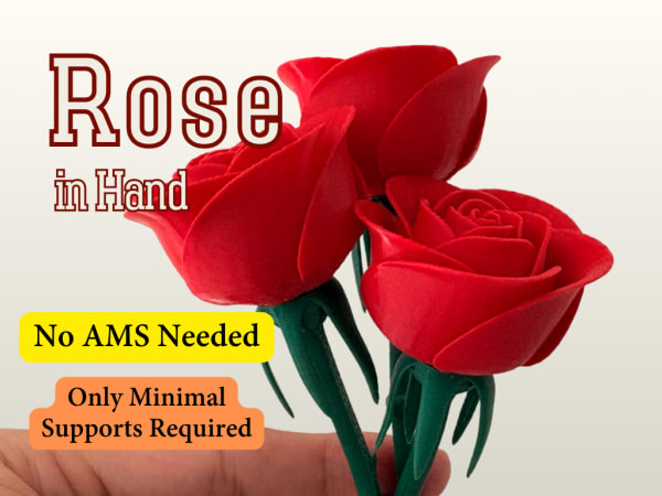 Rosa en Mano (No se requiere AMS)