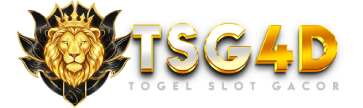log-TSG4D