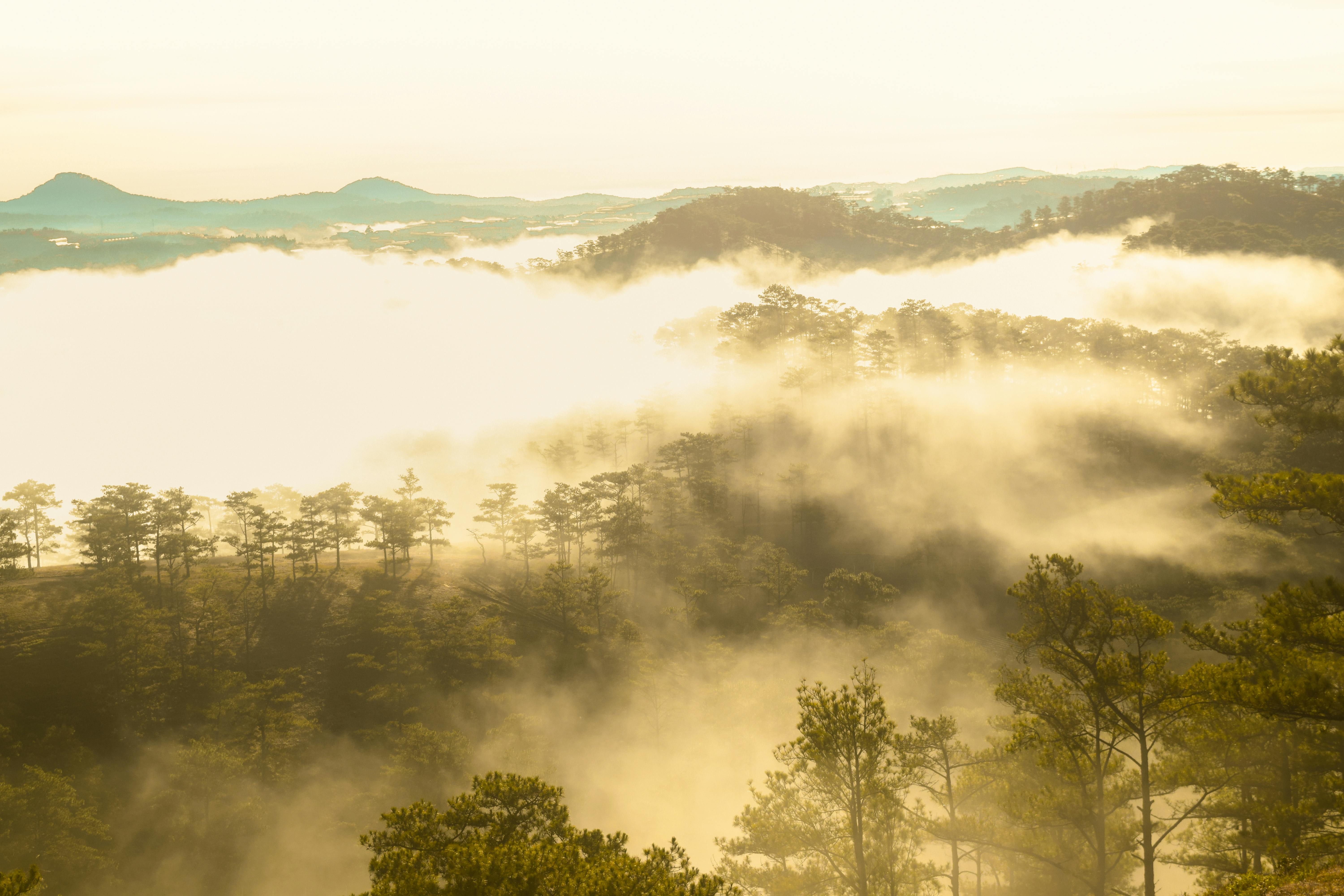 Dalat Serenity Homestay - Không gian yên bình