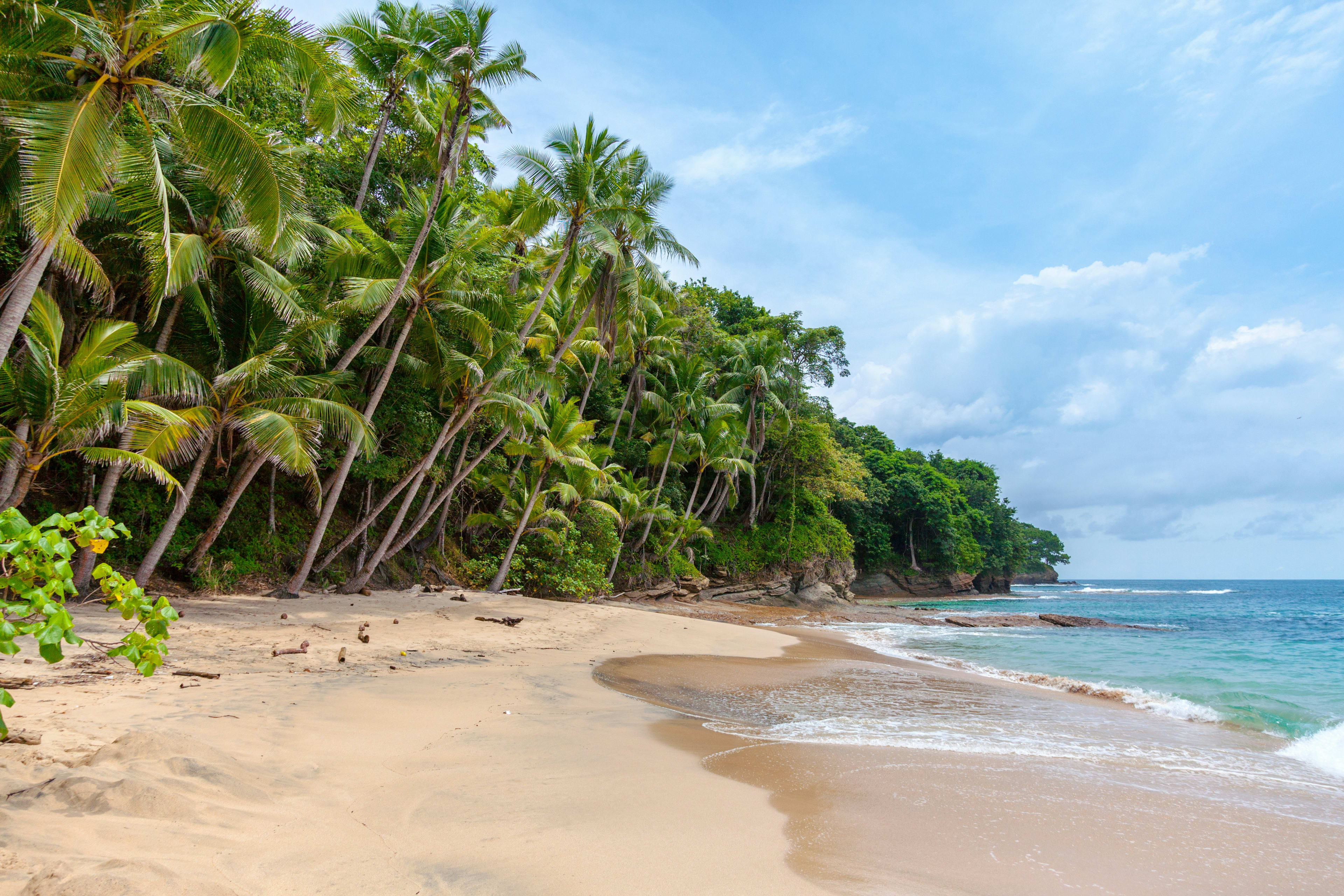 7 Struggles of a Caribbean Medical student 